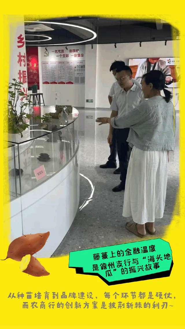 儋州支行：金融活水潤“海頭地瓜”，惠農(nóng)興產(chǎn)顯擔(dān)當(dāng)