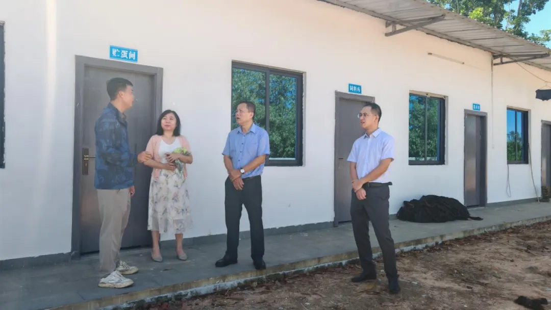 定安金融監(jiān)管支局深入定安支行調(diào)研指導(dǎo)普惠金融工作