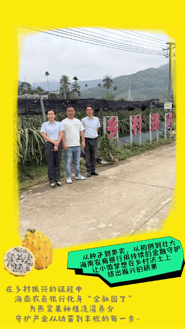 三亞支行：用金融春雨澆灌燕窩果產(chǎn)業(yè)新希望