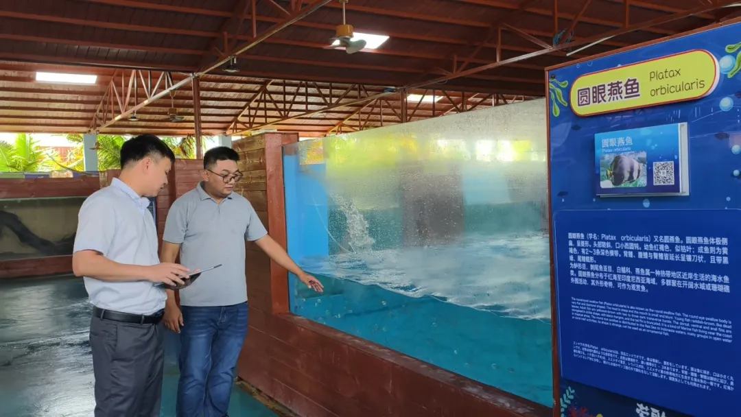 樂東支行"文旅+金融"雙輪驅(qū)動 繪就海洋經(jīng)濟(jì)振興新圖景