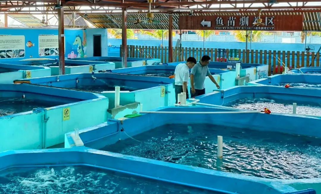 樂東支行"文旅+金融"雙輪驅(qū)動 繪就海洋經(jīng)濟(jì)振興新圖景