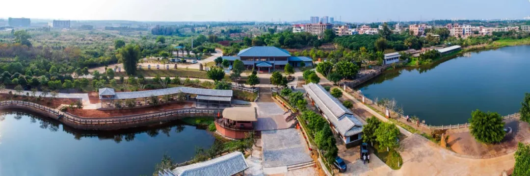 澄邁支行：金融活水潤“古村” 咖啡香里煥新生