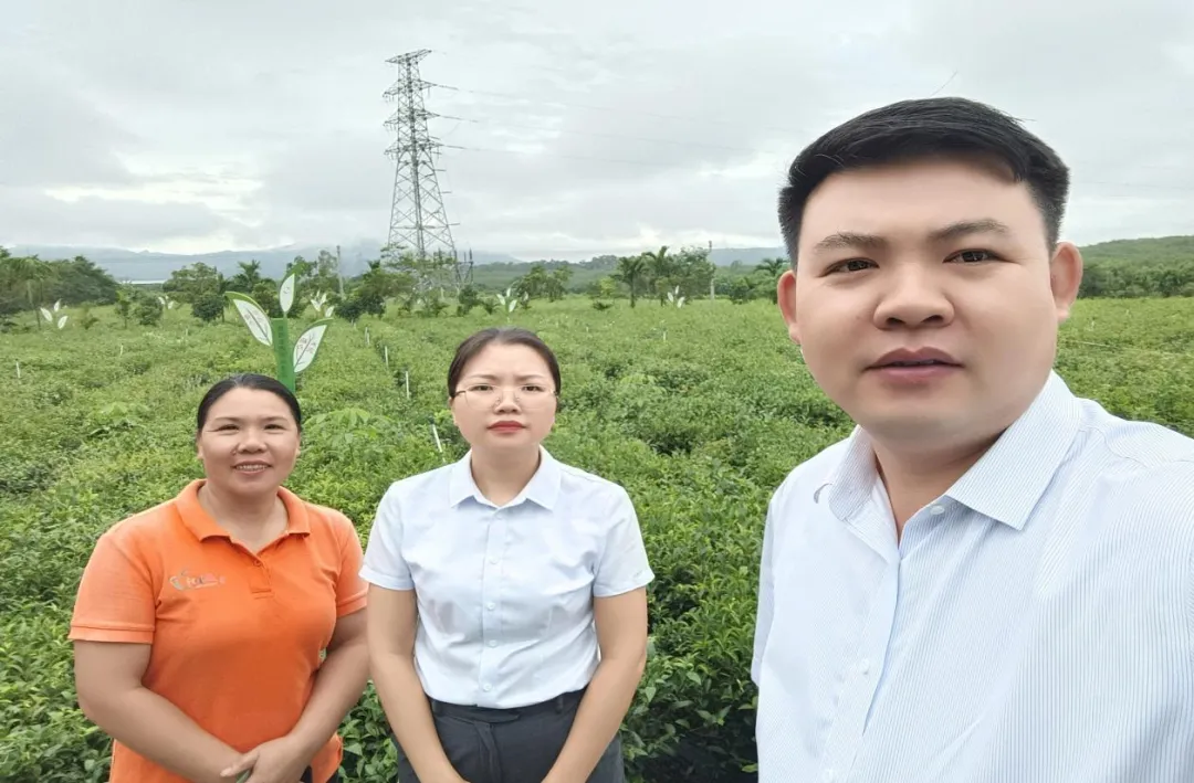 白沙支行：金融活水潤(rùn)茶鄉(xiāng) 文旅融合煥新機(jī)