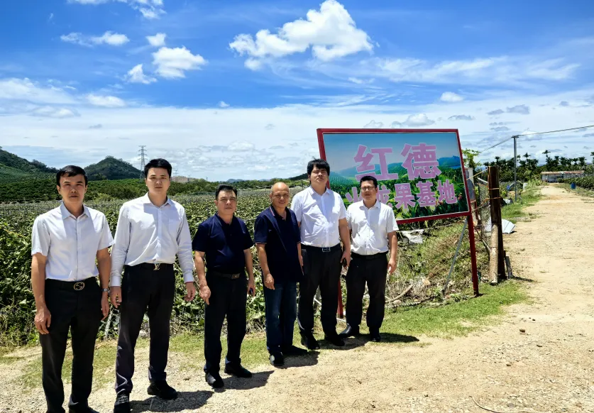 災(zāi)后重建 “加速度”！陵水支行多招齊發(fā)護(hù)航復(fù)工復(fù)產(chǎn)