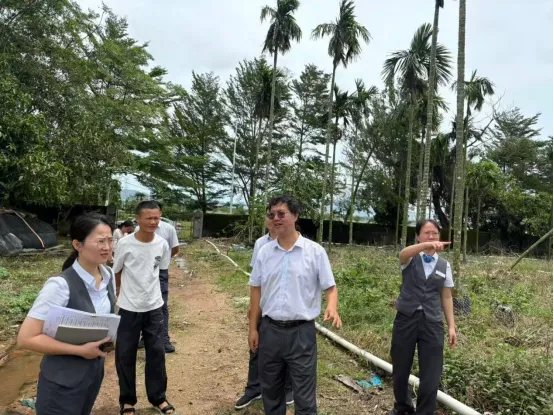 網(wǎng)點(diǎn)速開(kāi)+貸款快放，三亞支行災(zāi)后金融服務(wù)安全感拉滿！