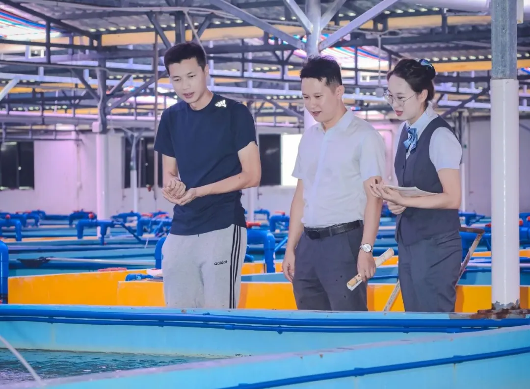 金超500億！微貸破50億！海南農(nóng)商銀行數(shù)字賦能鄉(xiāng)村振興成效亮眼