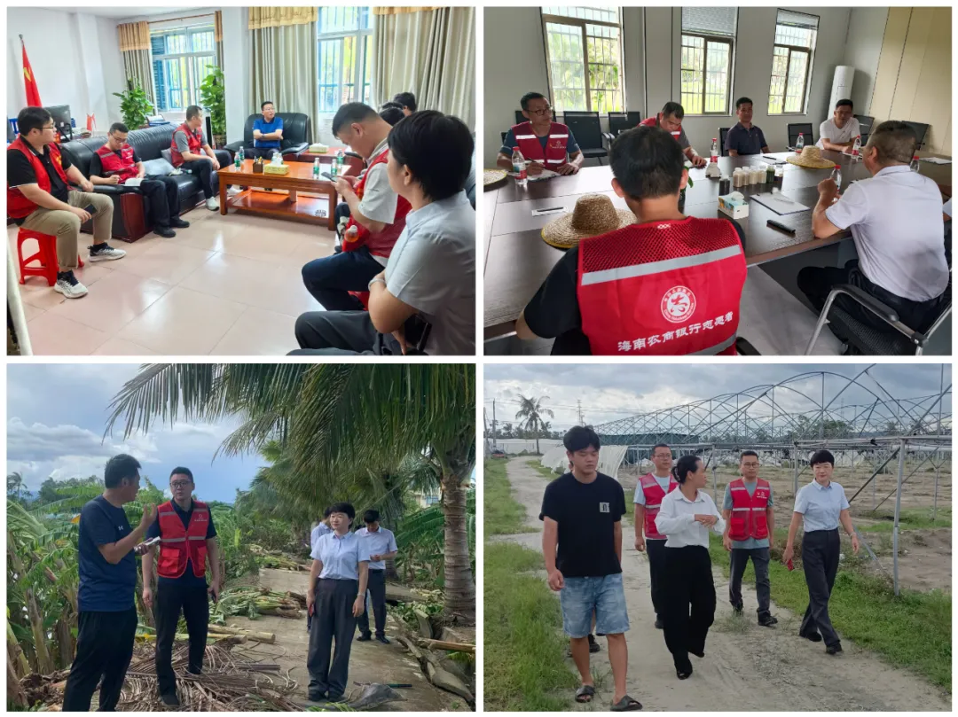 踐行“金融為民”！海南農(nóng)商銀行志愿服務隊馳援陵水，金融賦能災后重建