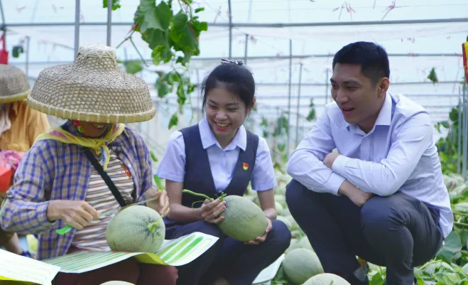 金超500億！微貸破50億！海南農(nóng)商銀行數(shù)字賦能鄉(xiāng)村振興成效亮眼