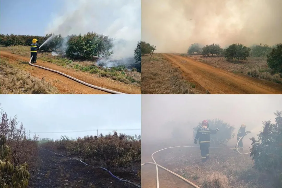 ?？谌T坡支行50萬應(yīng)急貸款助農(nóng)災(zāi)后重生