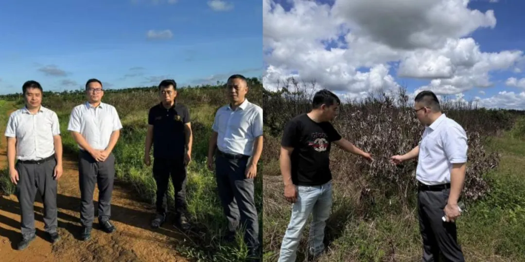 ?？谌T坡支行50萬應(yīng)急貸款助農(nóng)災(zāi)后重生