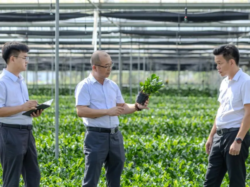 樂東支行：創(chuàng)新金融服務，助樂東農(nóng)產(chǎn)品 “出?！?闖世界