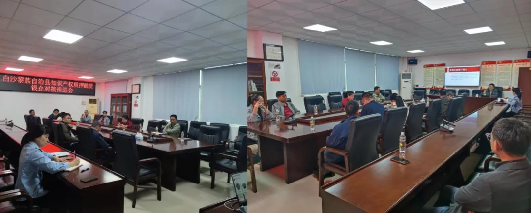 白沙支行：政銀企協(xié)同發(fā)力 破解科技企業(yè) “知產(chǎn)” 融資困局