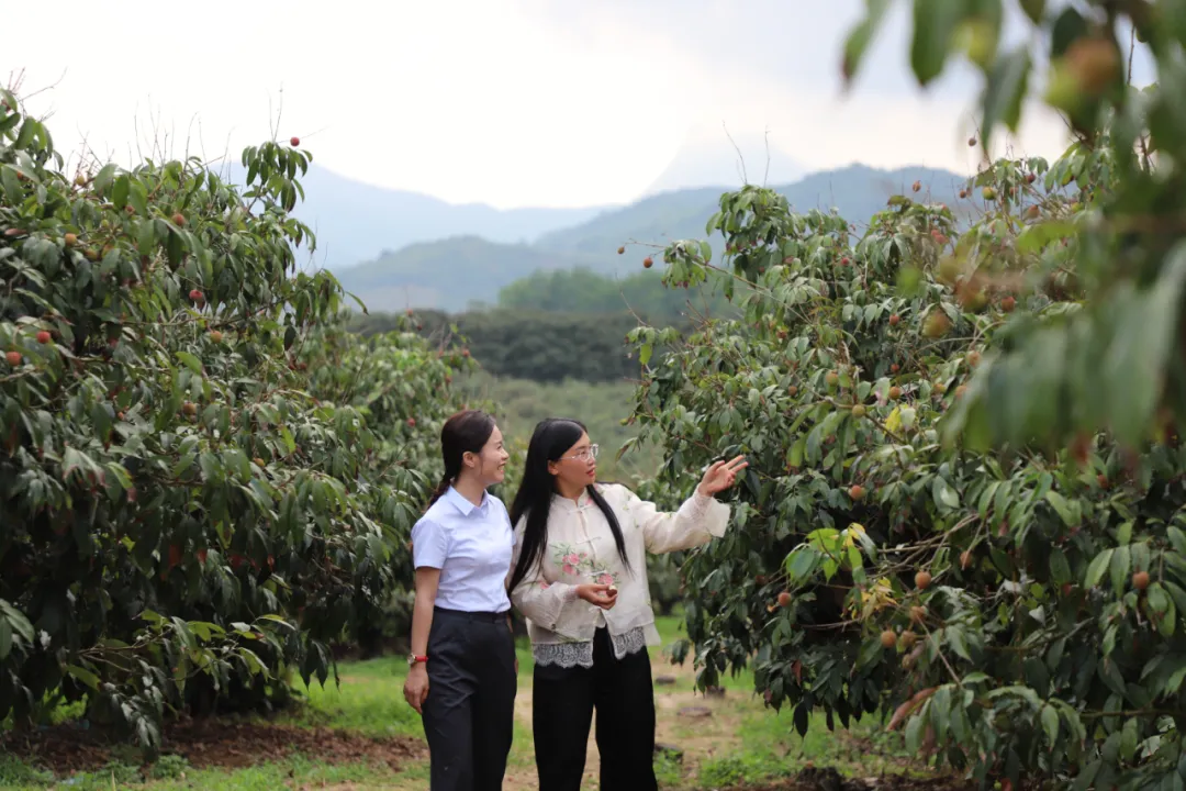 萬寧支行：深耕綠色金融 助力繪就自貿(mào)港生態(tài)底色