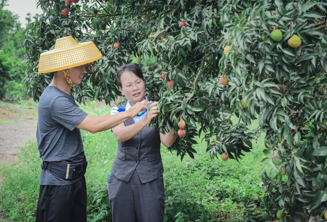 海口支行以硬核數(shù)據(jù)助力自貿(mào)港封關(guān)攻堅(jiān)
