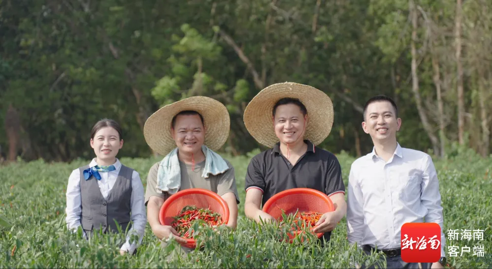 海南農(nóng)商銀行：本土金融乘勢(shì)向前 共繪自貿(mào)港開放新圖景
