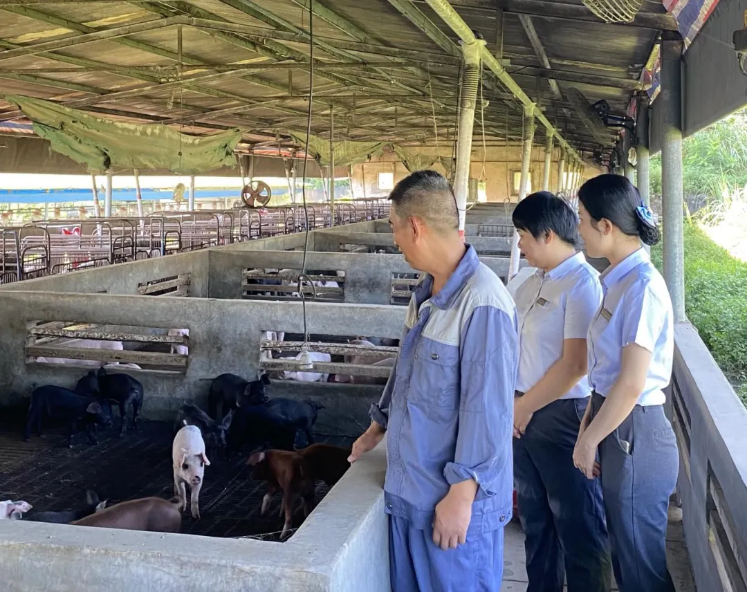 屯昌支行譜寫自貿(mào)港縣域金融服務(wù)新篇章 屯昌支行譜寫自貿(mào)港縣域金融服務(wù)新篇章