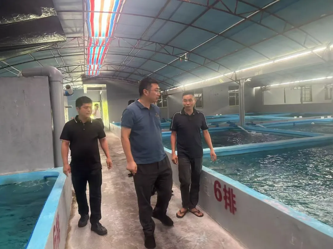 萬(wàn)寧支行多維進(jìn)階書(shū)寫(xiě)時(shí)代答卷