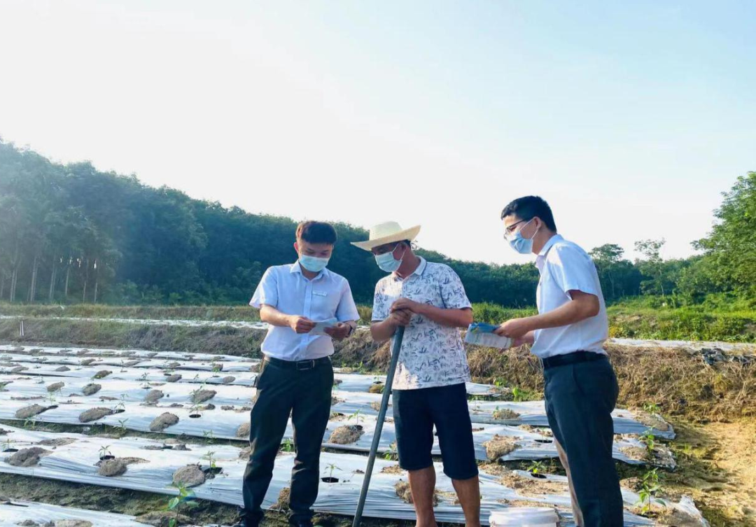 臨高支行：“藍(lán)色金融”涌動縣域，“紅色引擎”賦能發(fā)展